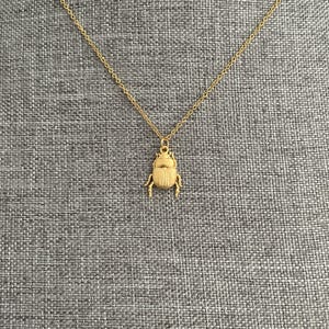 Beetle Insect Necklace for Nature Lover, Gold and SIlver Beetle Pendant Necklace for Women, Jewelry for Her