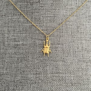 Beetle Insect Necklace for Nature Lover, Gold and SIlver Beetle Pendant Necklace for Women, Jewelry for Her