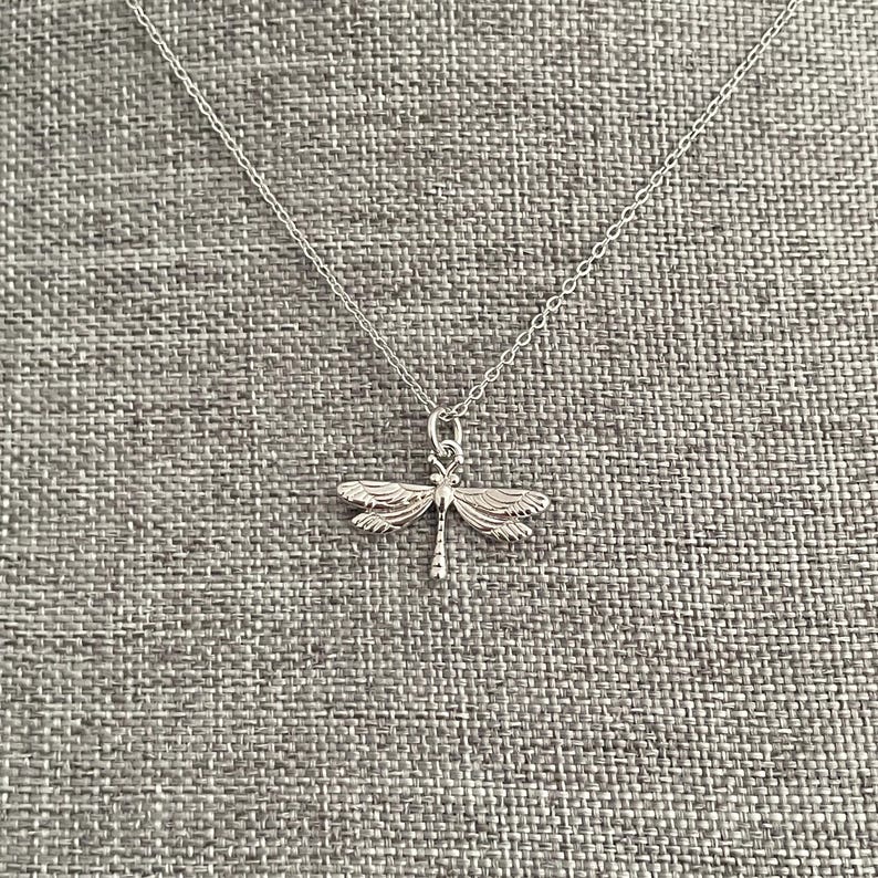 May include: A silver necklace with a dragonfly pendant. The dragonfly is detailed and has delicate wings.