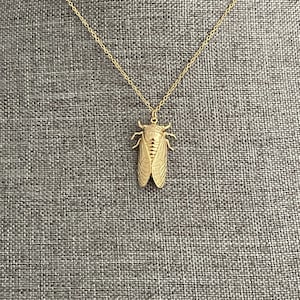May include: A gold-coloured necklace with a cicada pendant. The pendant is detailed with wings and body segments. The chain is delicate and the pendant is centred against a grey background.