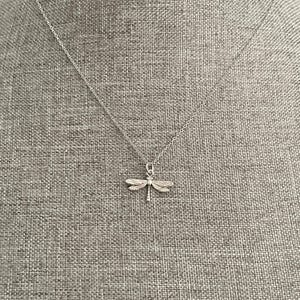 May include: A silver necklace with a dragonfly pendant. The dragonfly is detailed and has delicate wings.