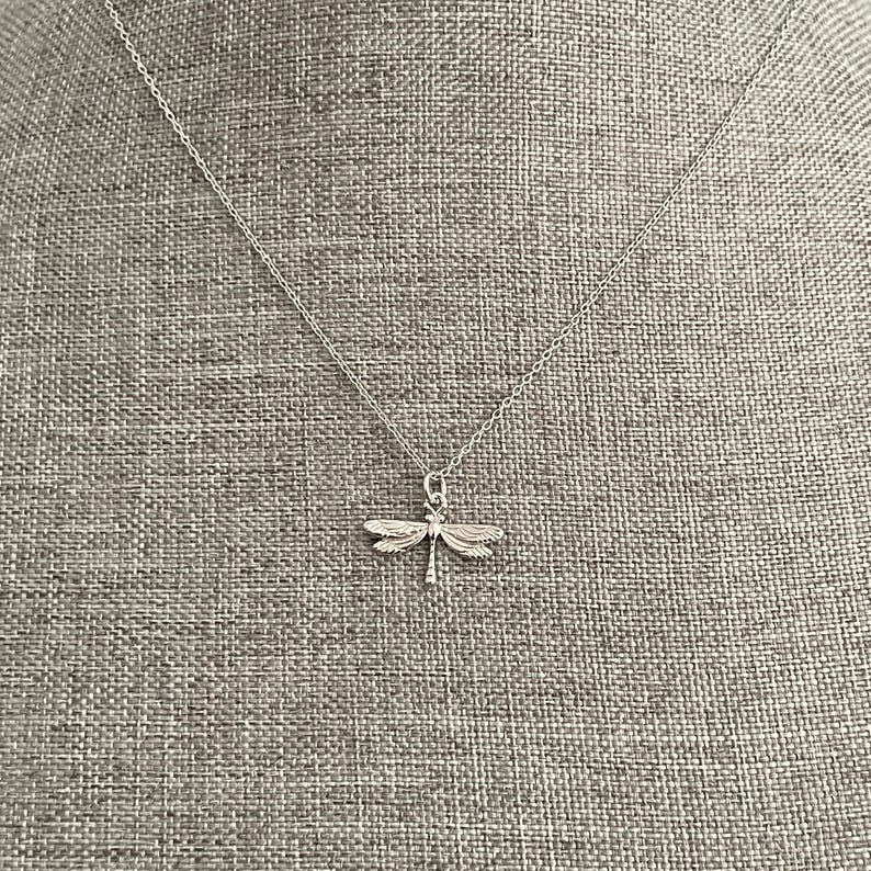 May include: A silver necklace with a dragonfly pendant. The dragonfly is detailed and has delicate wings.