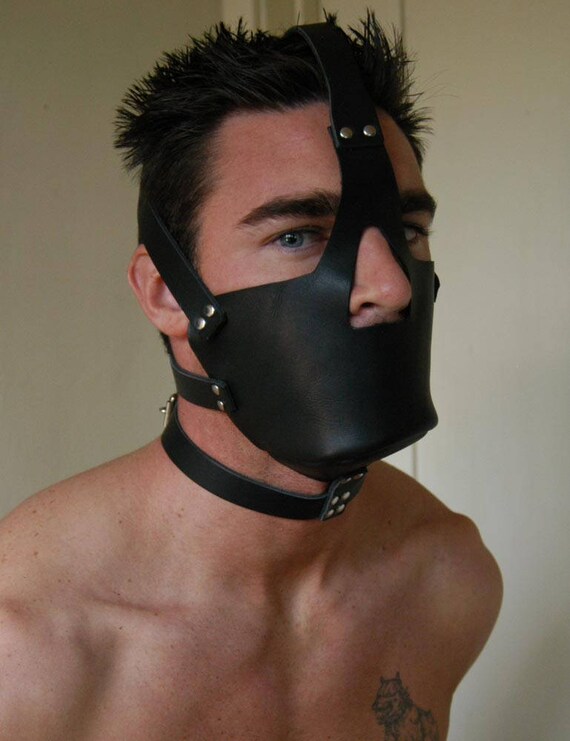 head harness muzzle