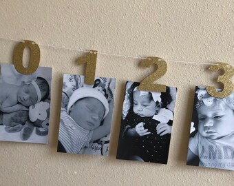 Gold Photo Banner... Baby Girl... First Birthday... Wild One...Gold Party... 12 Months.... Newborn... Baby Boy