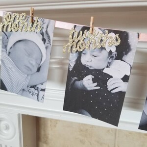 Gold Photo Banner... Baby Girl... First Birthday... Wild One... Pink and Gold Party... 12 Months.... Newborn