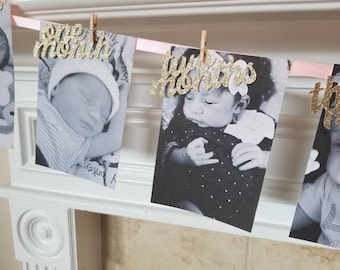 Gold Photo Banner... Baby Girl... First Birthday... Wild One... Pink and Gold Party... 12 Months.... Newborn