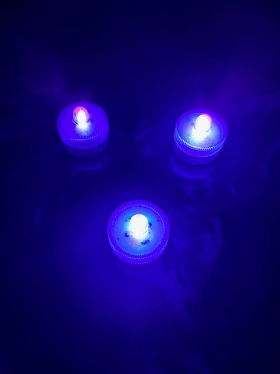 Top 4 Things to Consider Before Buying UV Blacklights