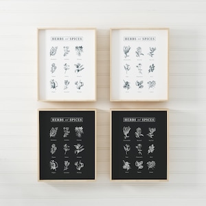Set of 4 Printable Kitchen Prints, Herbs and Spices Illustration, Black and White Kitchen Decor, Botanical Drawing, Dining Wall Art