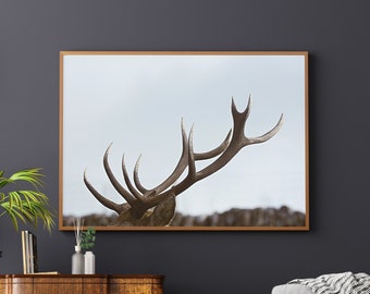 Deer Antler Printable Wall Art, Landscape Photo, Deer Photography, Stag Photo, Large Home Decor, Digital Download