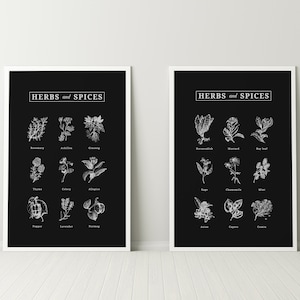 Set of 2 Printable Black and White Kitchen Prints, Herbs and Spices Illustration, Minimalist Art, Botanical Drawing, Dining Wall Art