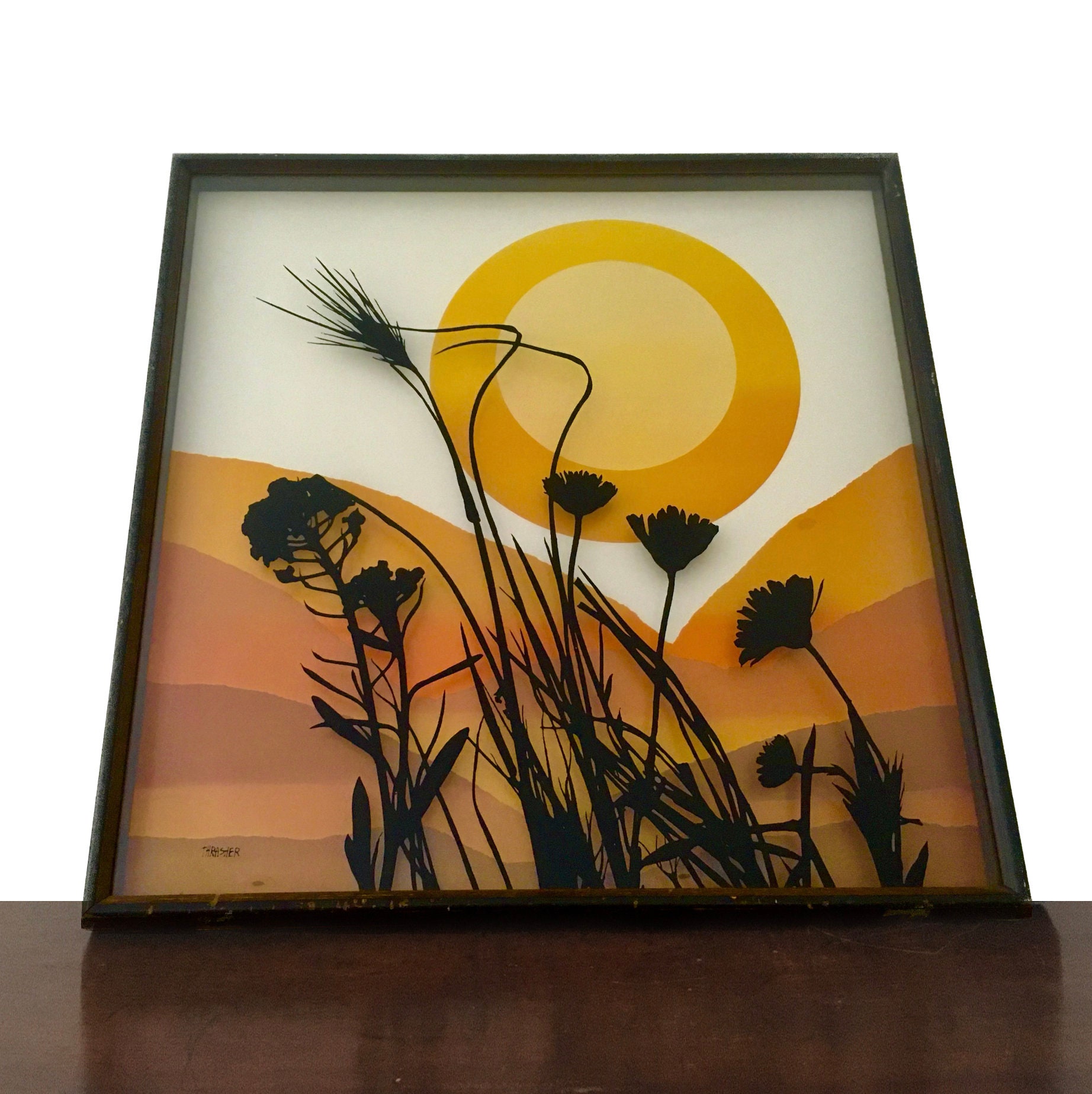 Reserved for Vintage 1974 Virgil Thrasher Shadow Box