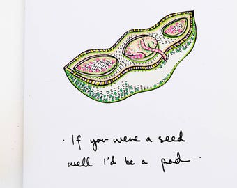 Card for Horticulturist, Card for Nature Lover, Seed and Pod, Two Peas in a Pod, Great for anniversary, Inspirational message, Blank inside