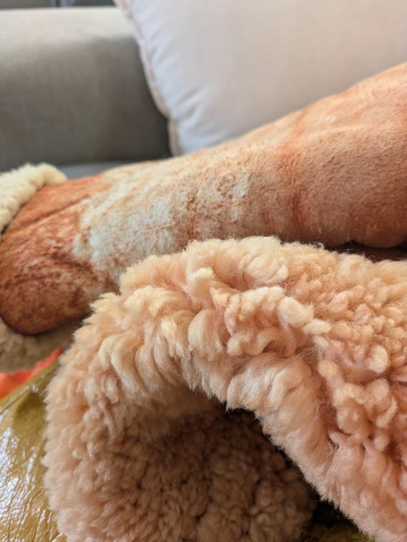 Sheepskin Jacket. L. Vintage. Monty Python Flying… - image 4