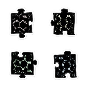 DNA Bases Puzzles Stickers -- Set of Four -- Deoxyribonucleic Acid