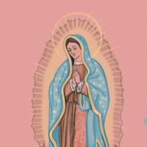 May include: Illustration of the Virgin Mary in a light blue robe with gold accents, surrounded by a halo. The image includes text in Spanish, a rosary, and roses on a pink background.