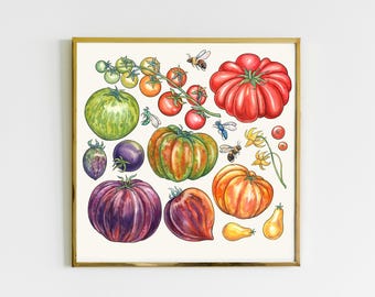 May include: A square framed watercolor illustration featuring a variety of heirloom tomatoes in shades of red, green, purple, orange, and yellow, accompanied by small bees and yellow tomato blossoms on a light cream background.