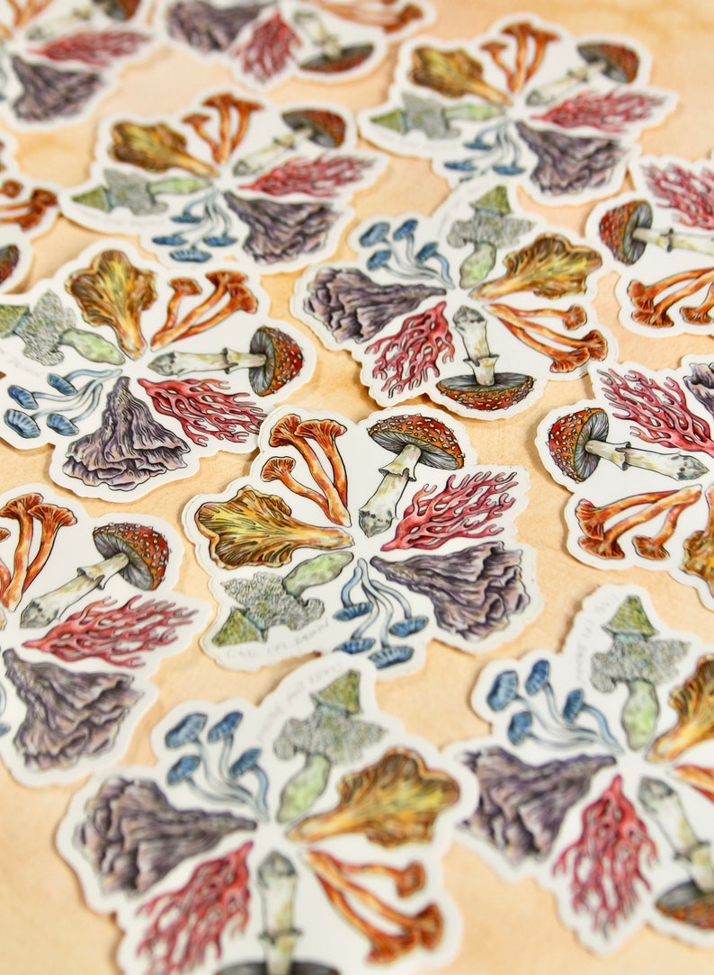 Mushroom Color Wheel Sticker - Etsy