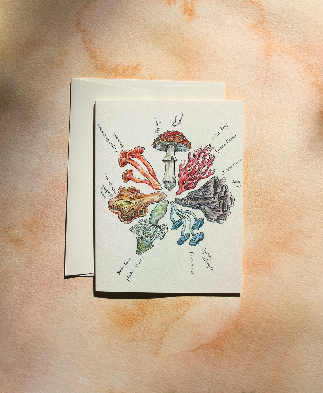 Mushroom Color Wheel Card - Etsy