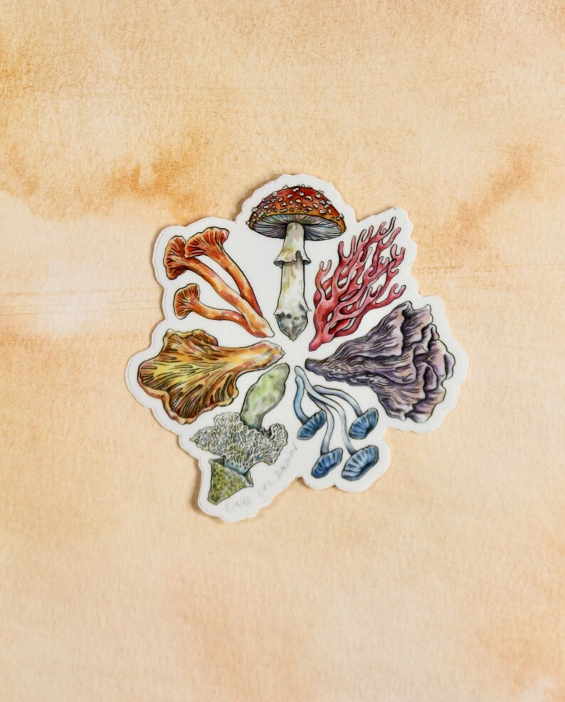 Mushroom Color Wheel Sticker - Etsy