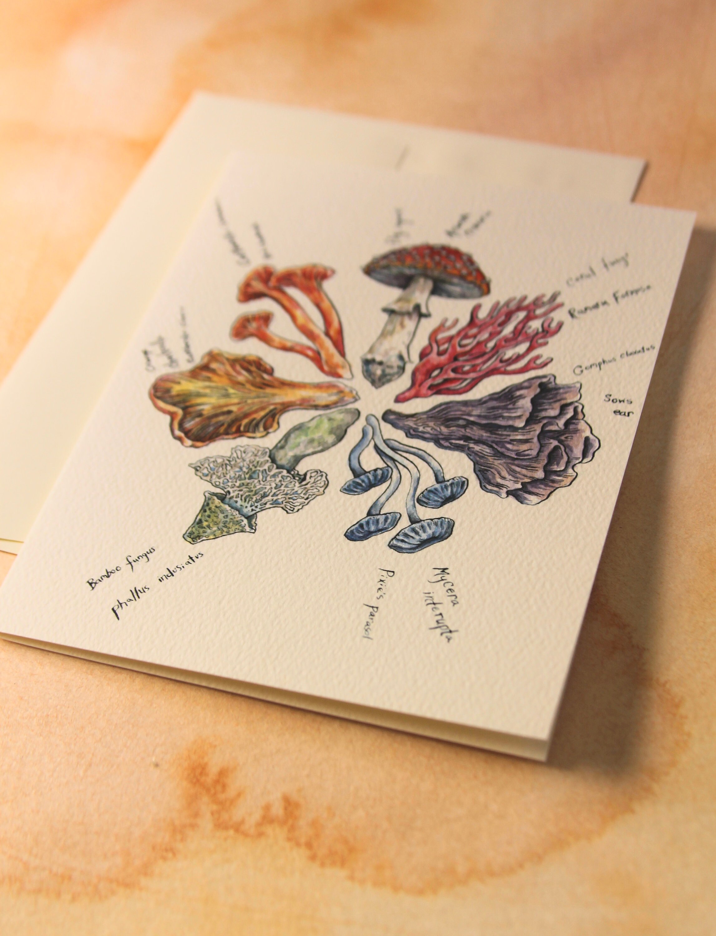 Mushroom Color Wheel Card - Etsy