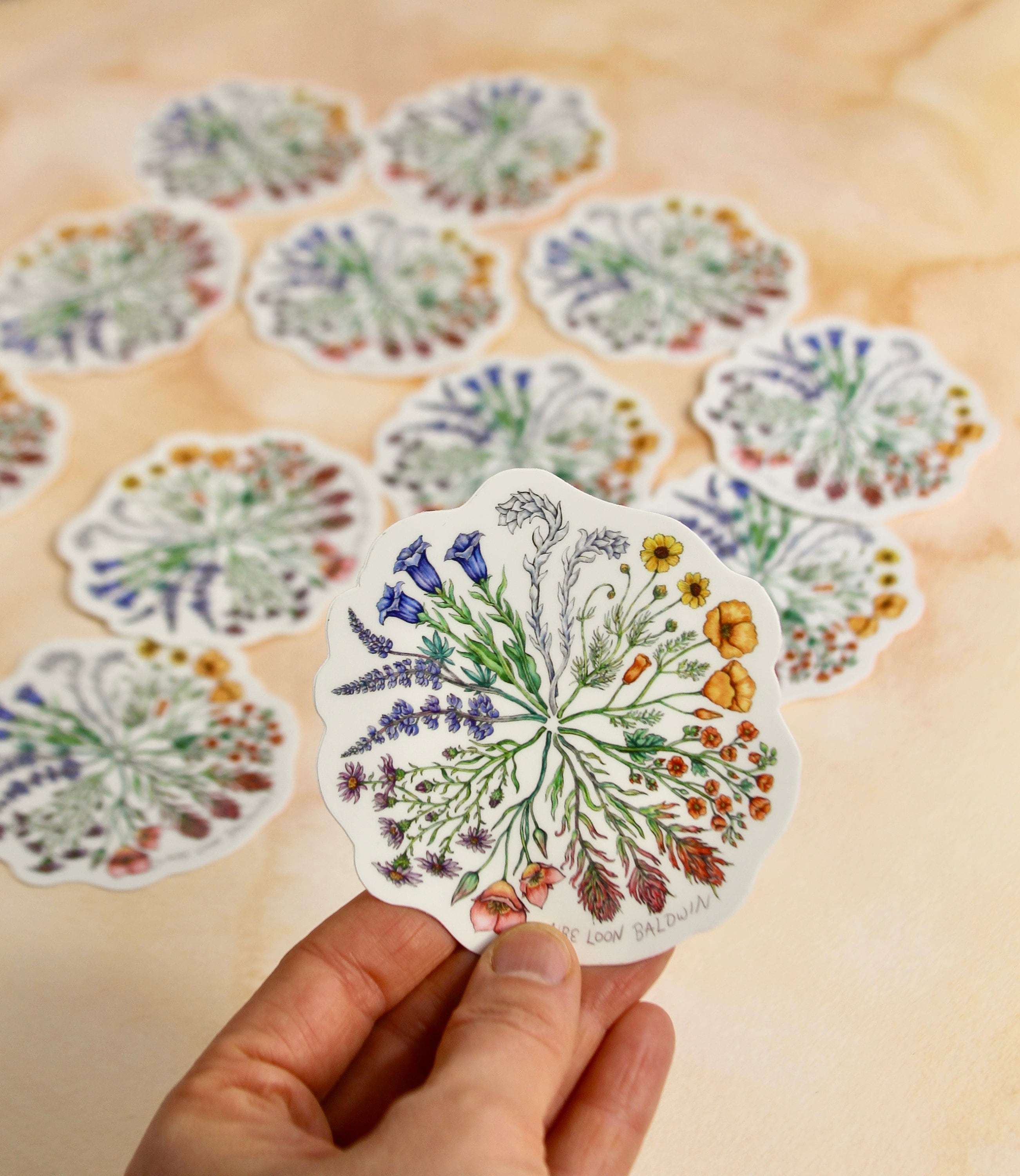 Wildflower Color Wheel Sticker - Etsy