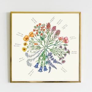 May include: A framed botanical print with a watercolour illustration of diverse wildflowers in a circular design. The flowers, including California poppies and bluebells, are labelled with their names. The frame is gold-coloured.
