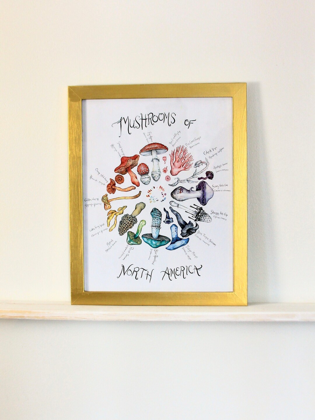 Mushroom Color Wheel Art Print - Etsy
