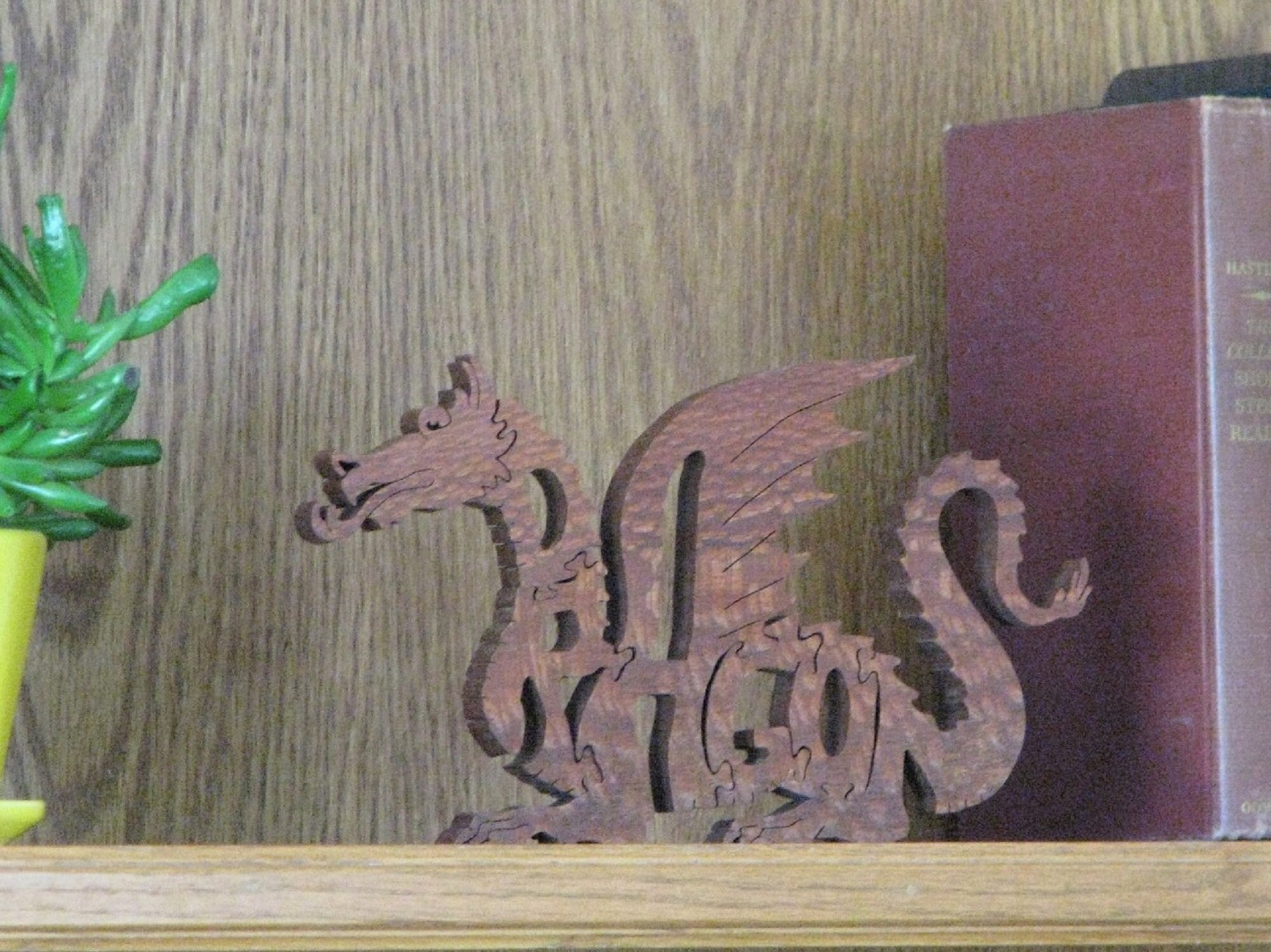 aile de planeur 5 lettres