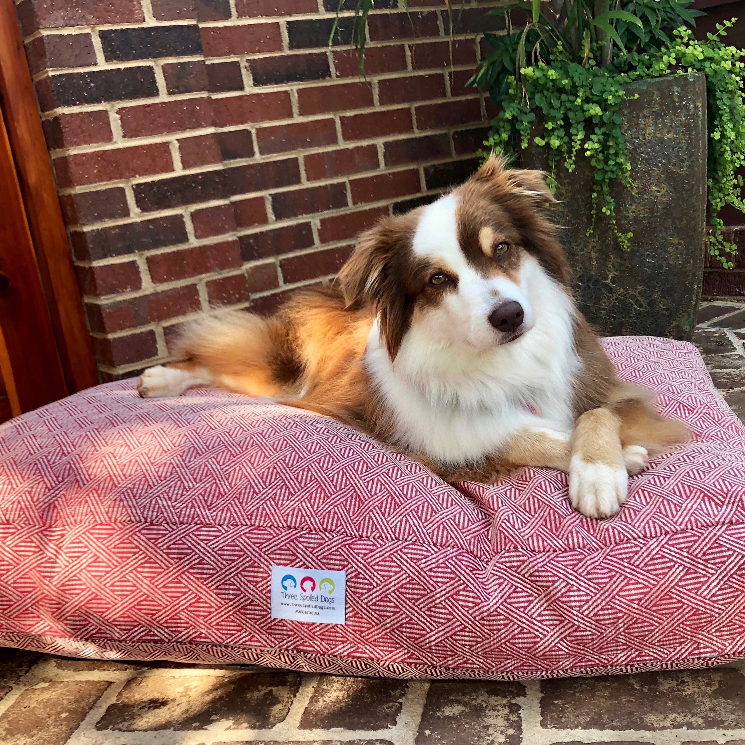 Personalized Dog Bed Large Dog Pillow Dog Bed Cover