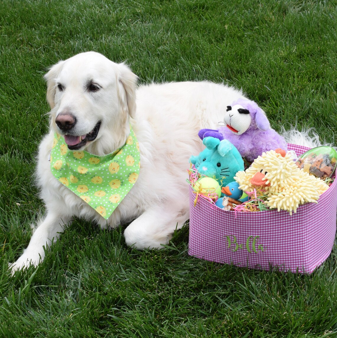 Personalized Dog Easter Basket Embroidered Pet Easter Gift Etsy