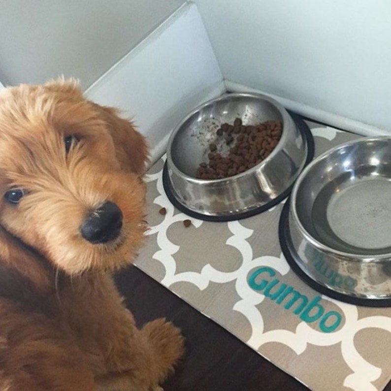 Personalized Dog Food Mat Cat Food Mat Dog Placemat For Food Etsy