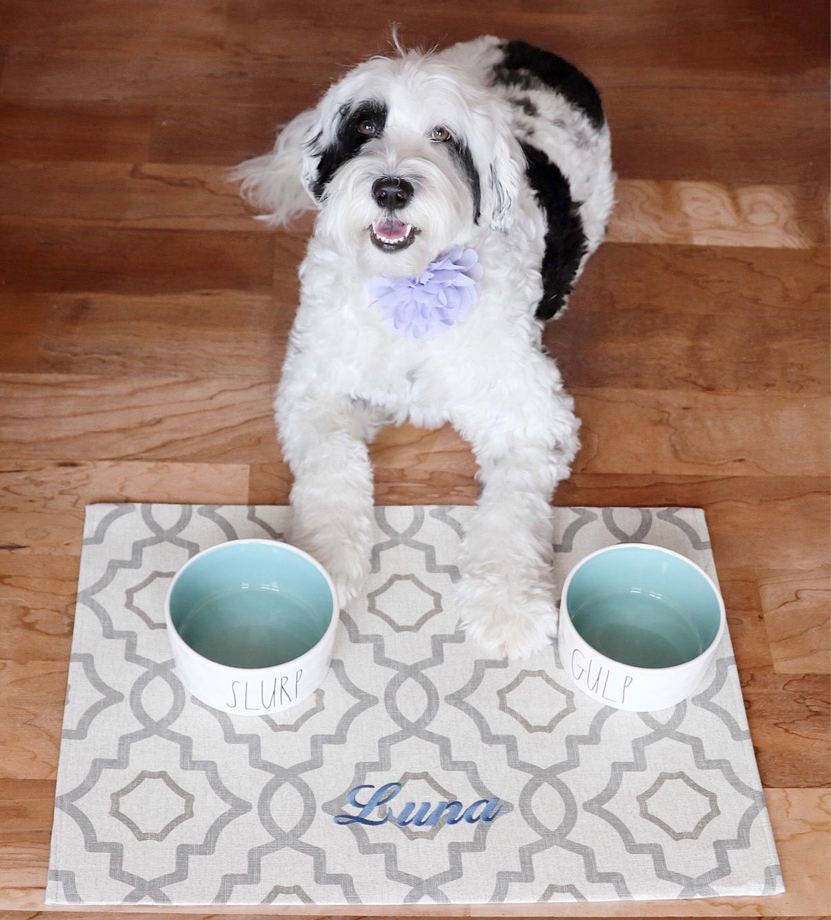 Dog Food Mat Cat Food Mat Dog Placemat For Food And Water