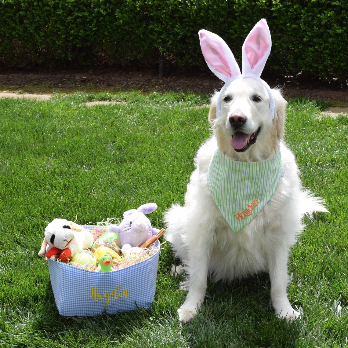 Personalized Dog Easter Basket Embroidered Pet Easter Gift Etsy