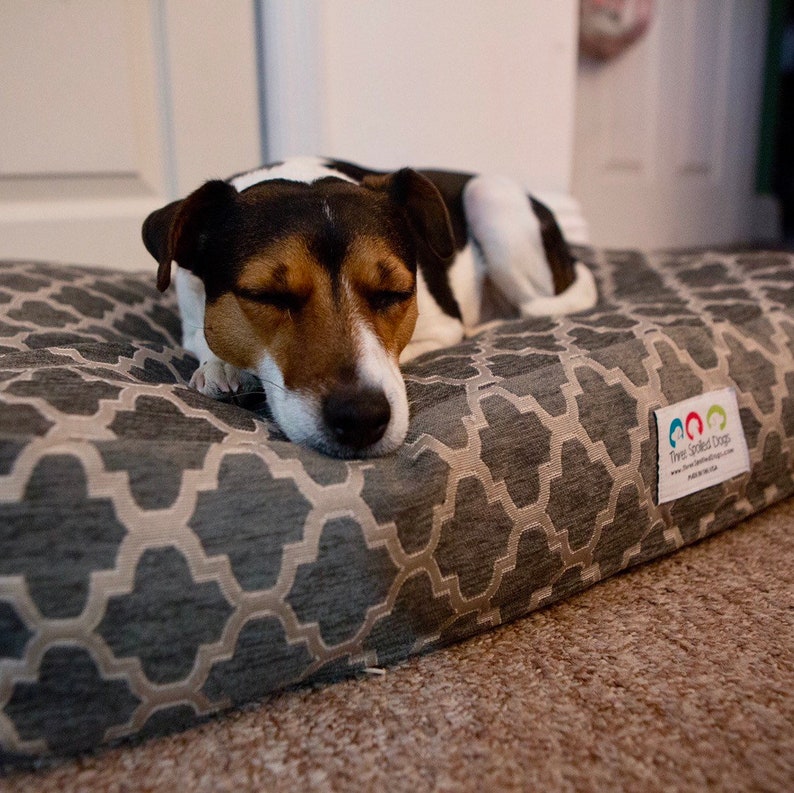 Personalized Dog Bed Dog Bed Cover Medium Washable Pet Bed Etsy