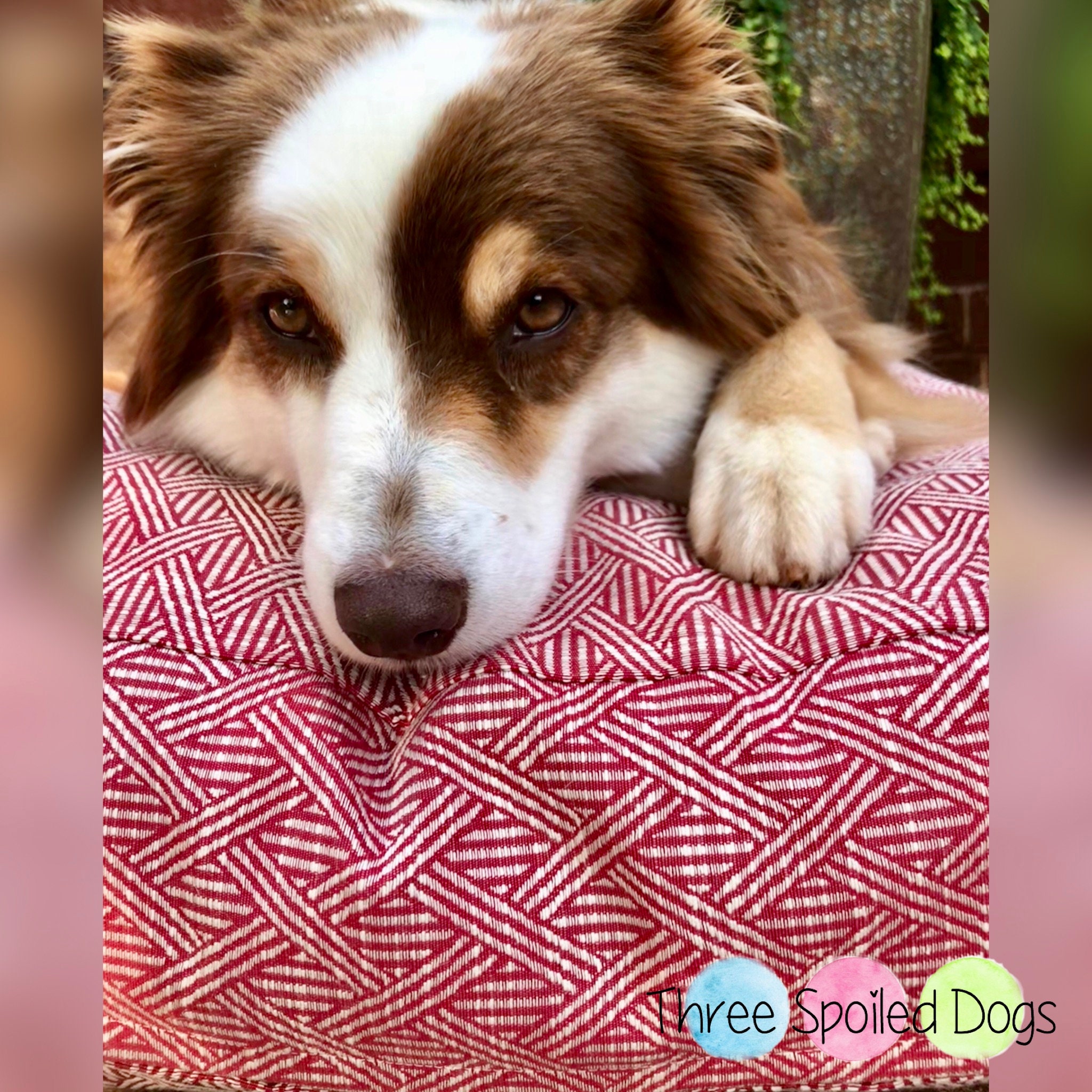 Personalized Dog Bed Large Dog Pillow Washable Lattice Pet Etsy