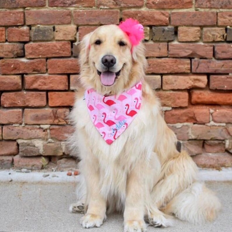 extra large dog bandanas