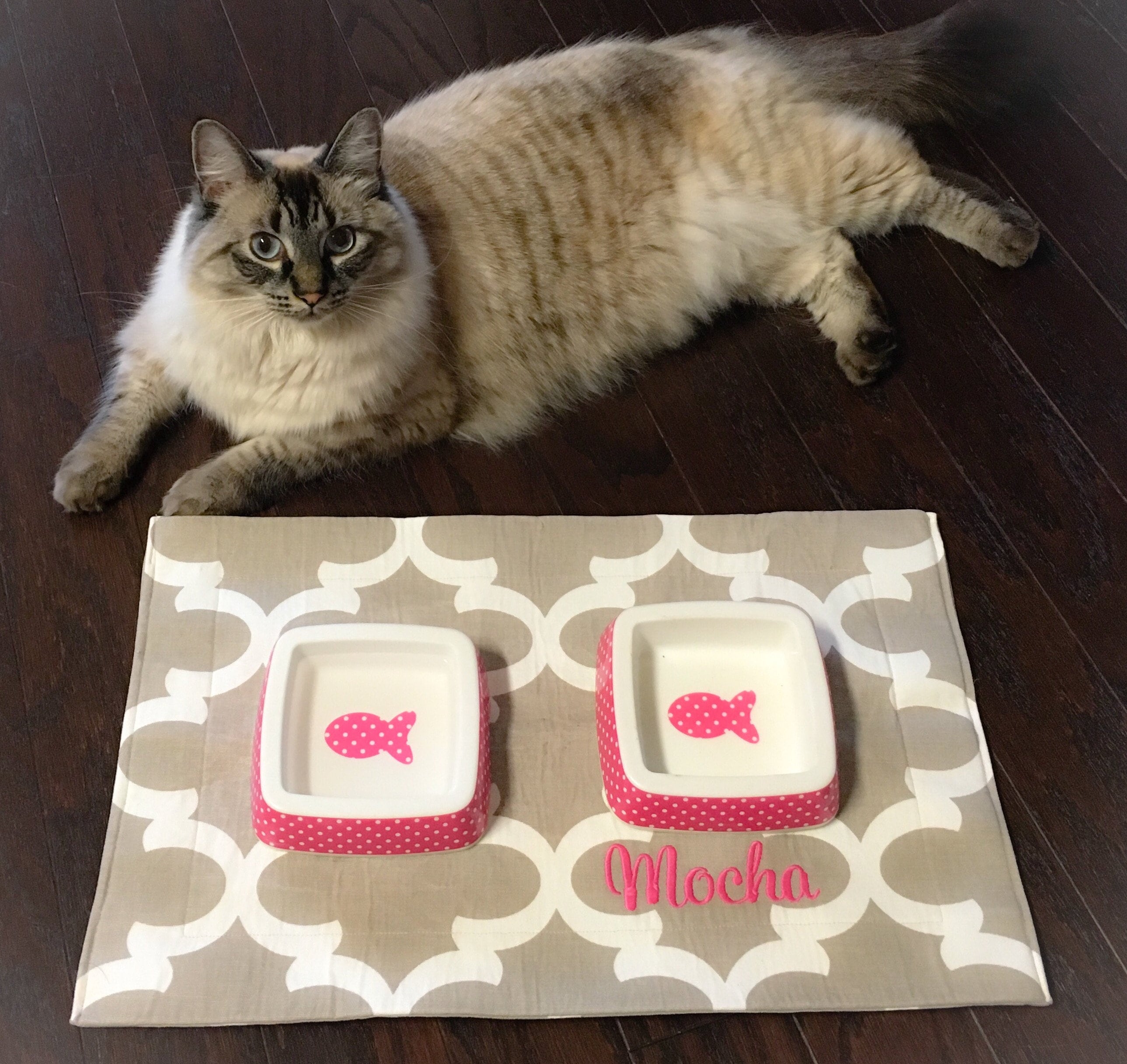 Personalized Pet Placemat Ecru Cat Food Mat Placemat For Food