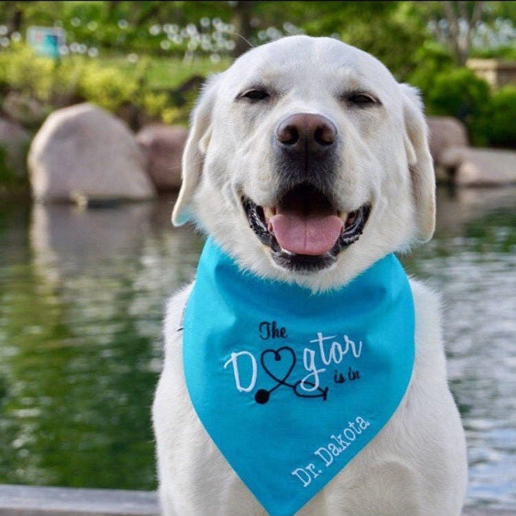 Checks personalised dog bandana