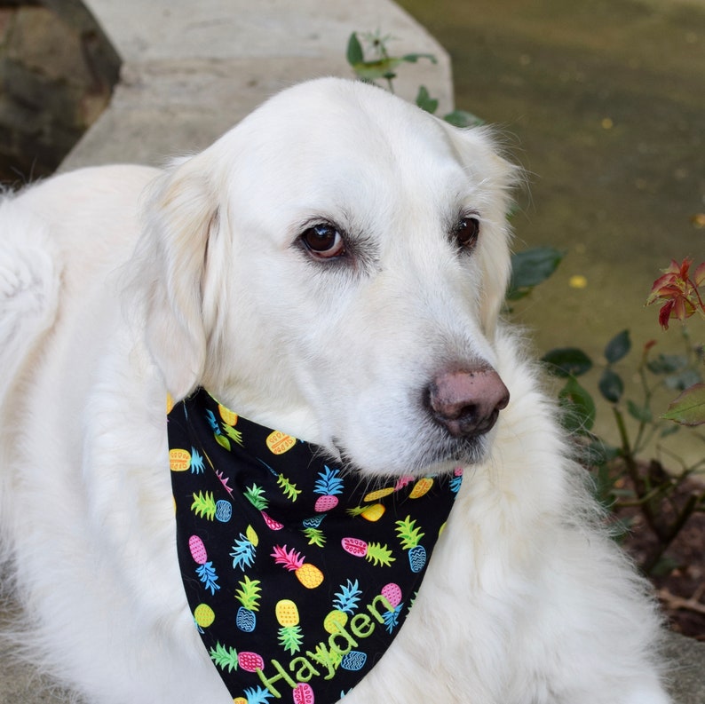 extra large dog bandanas