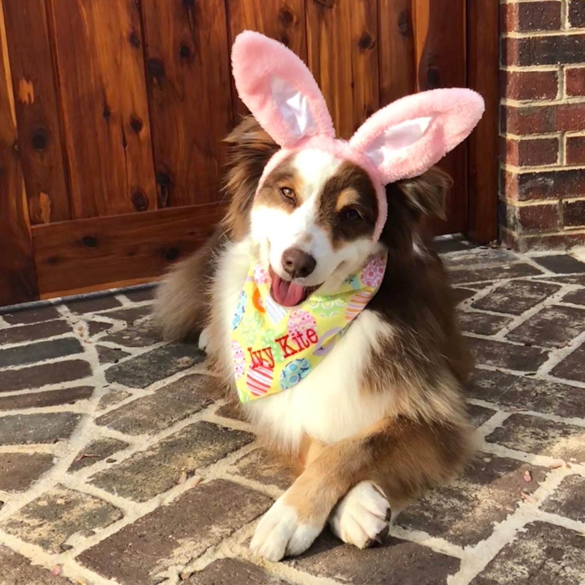 Easter Eggs Dog Bandana Personalized Spring Pet Scarf with | Etsy