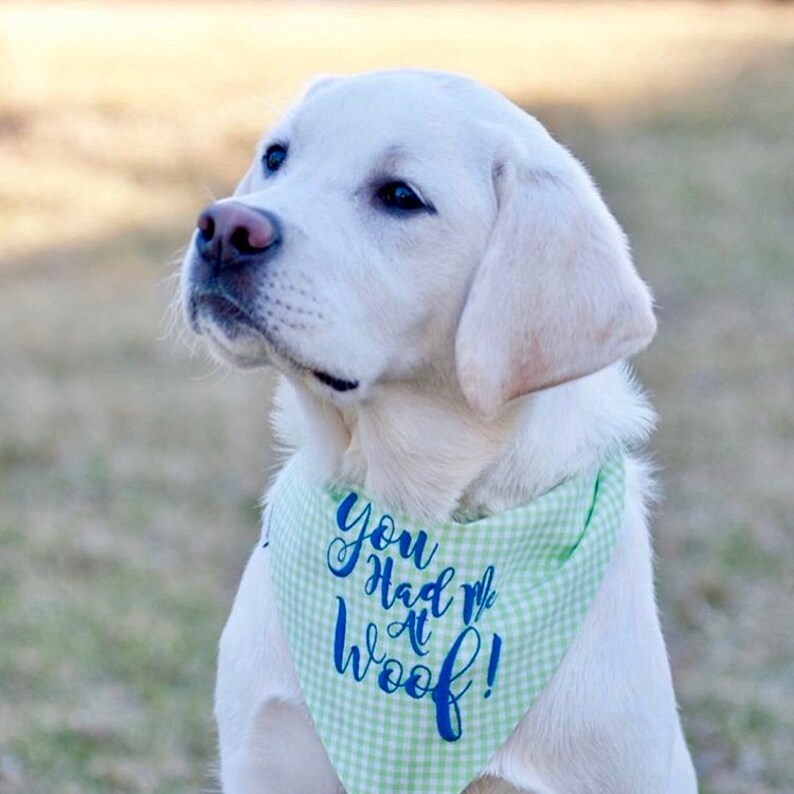 Gingham Dog Bandana Monogrammed Pet Bandana Personalized Pet Etsy