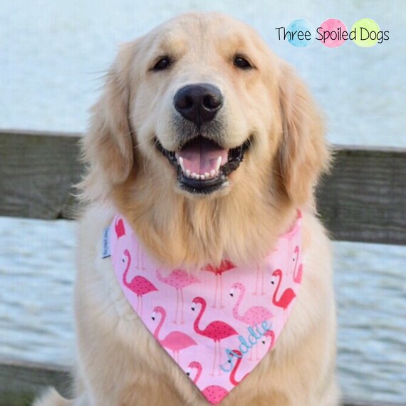 camouflage cat collar