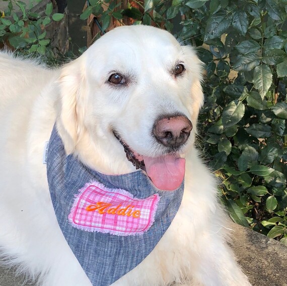 denim dog bandana