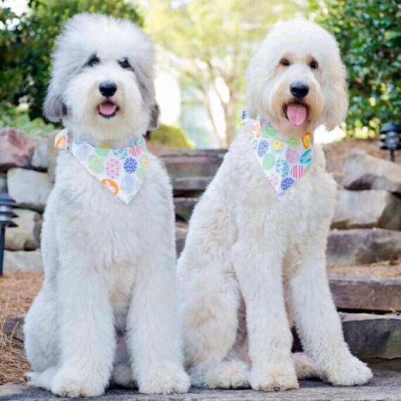 easter dog bandana