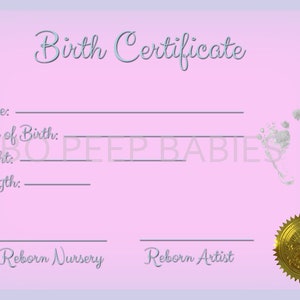 Digitale download geboorteakte voor Reborn Baby Doll hoge kwaliteit png en jpeg