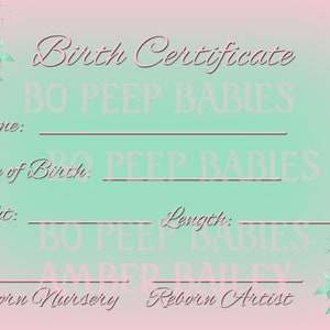 Digitale download geboorteakte voor Reborn Baby Doll hoge kwaliteit png en jpeg