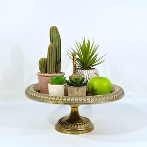 Large Mid Century Brass Pedestal Fruit Holder /Planter/Catchall Bowl