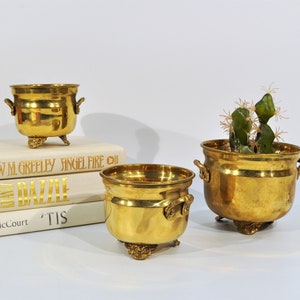 3 P.C.Succulent Planter Footed Bowls