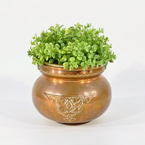 Peut inclure: Un pot en cuivre avec un motif orné, rempli d'une plante verte feuillue.