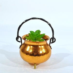 May include: A small copper pot with a hammered finish and a black metal handle. The pot is filled with a green succulent plant.